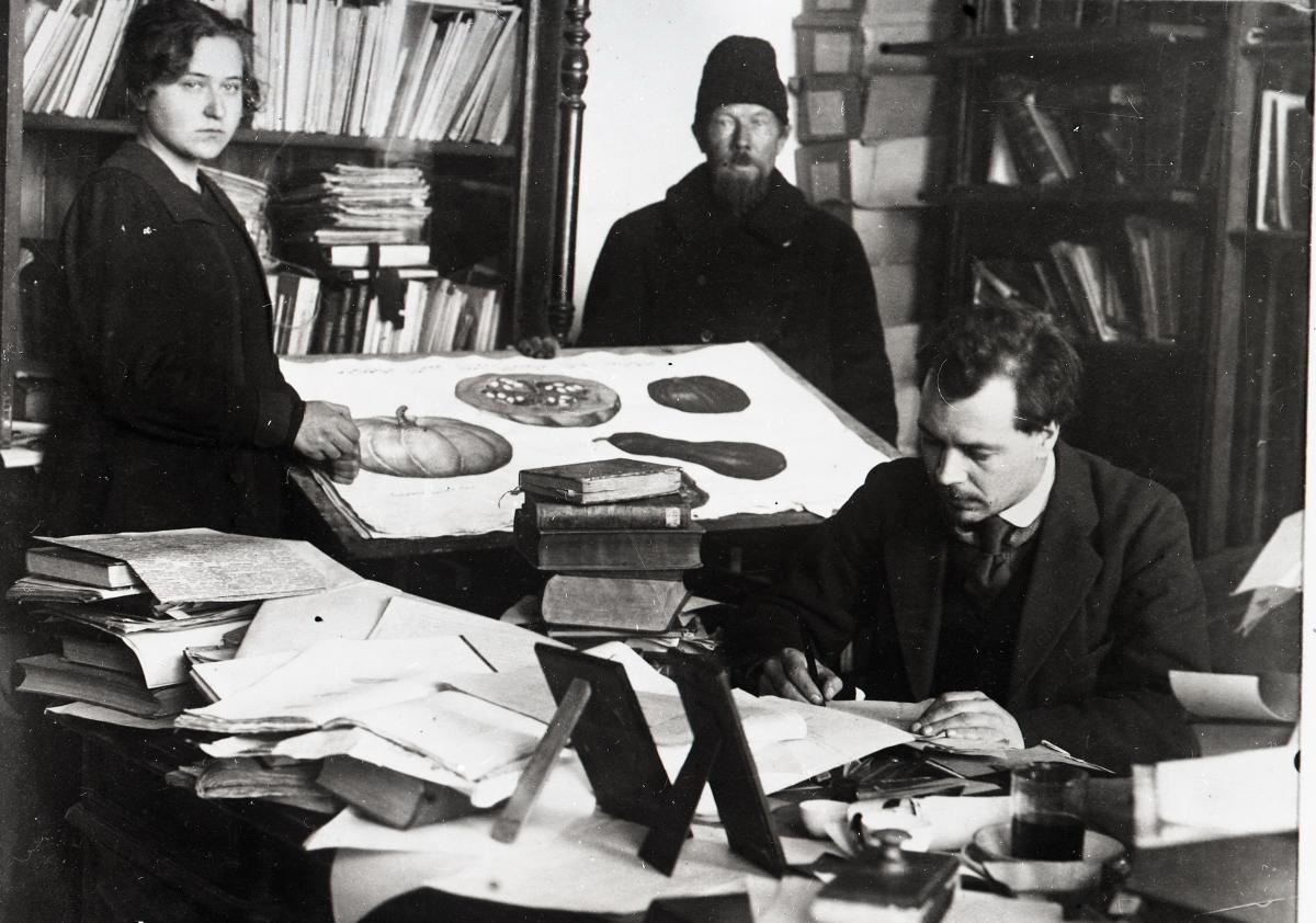 Листая страницы истории: Ко дню рождения Н.И. Вавилова Фото 2