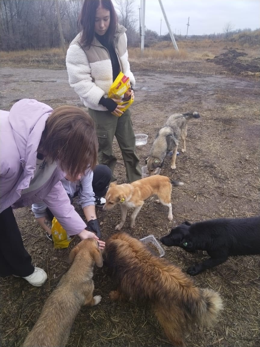 Спешите делать ДОБРО! Фото 2