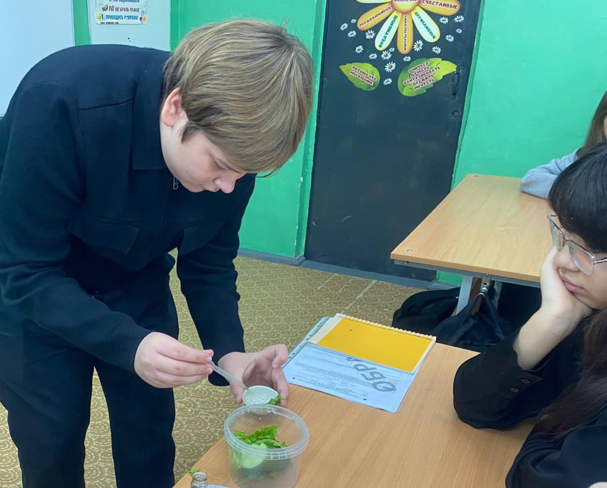 Школьники Энгельсского района познакомились с методами проверки качества сельхозпродукции Фото 9