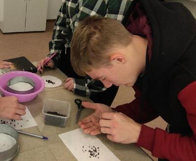 Практическое занятие: "Определение водопрочности структуры почвы"