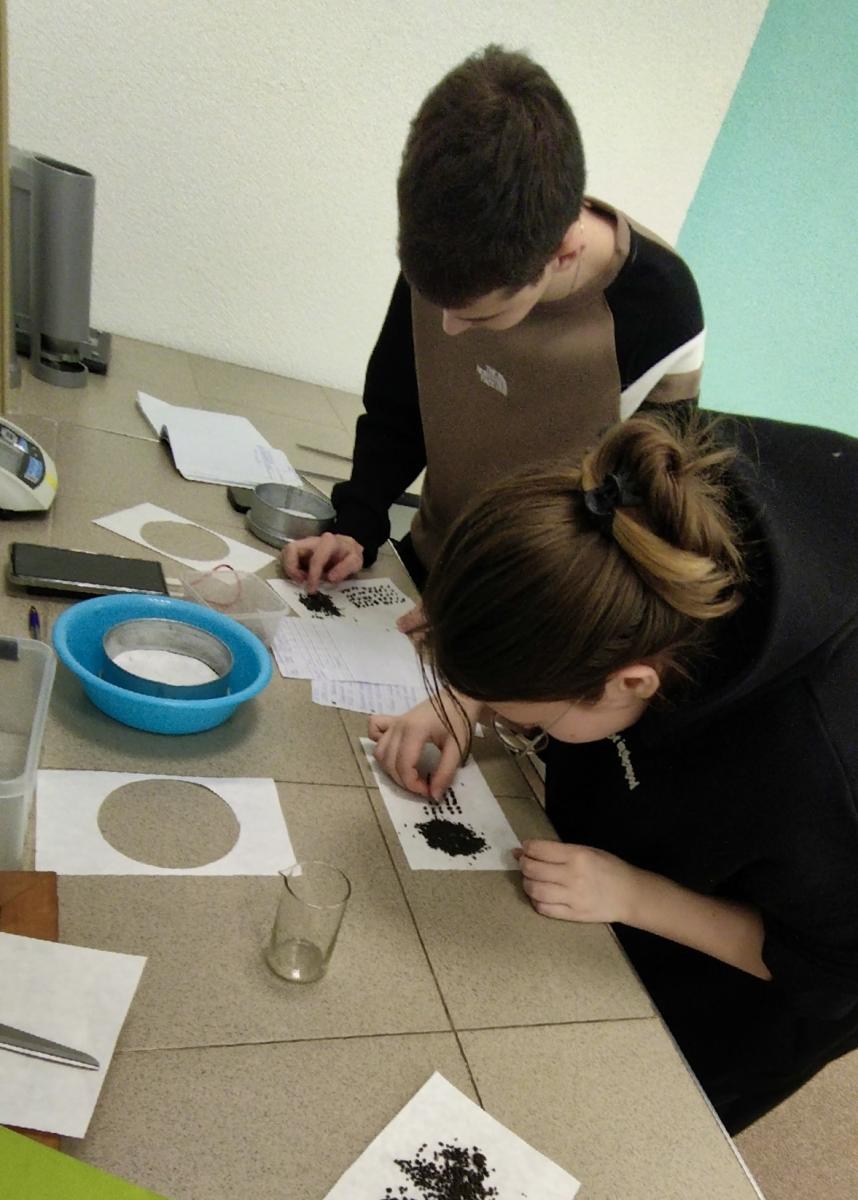 Практическое занятие: "Определение водопрочности структуры почвы" Фото 5