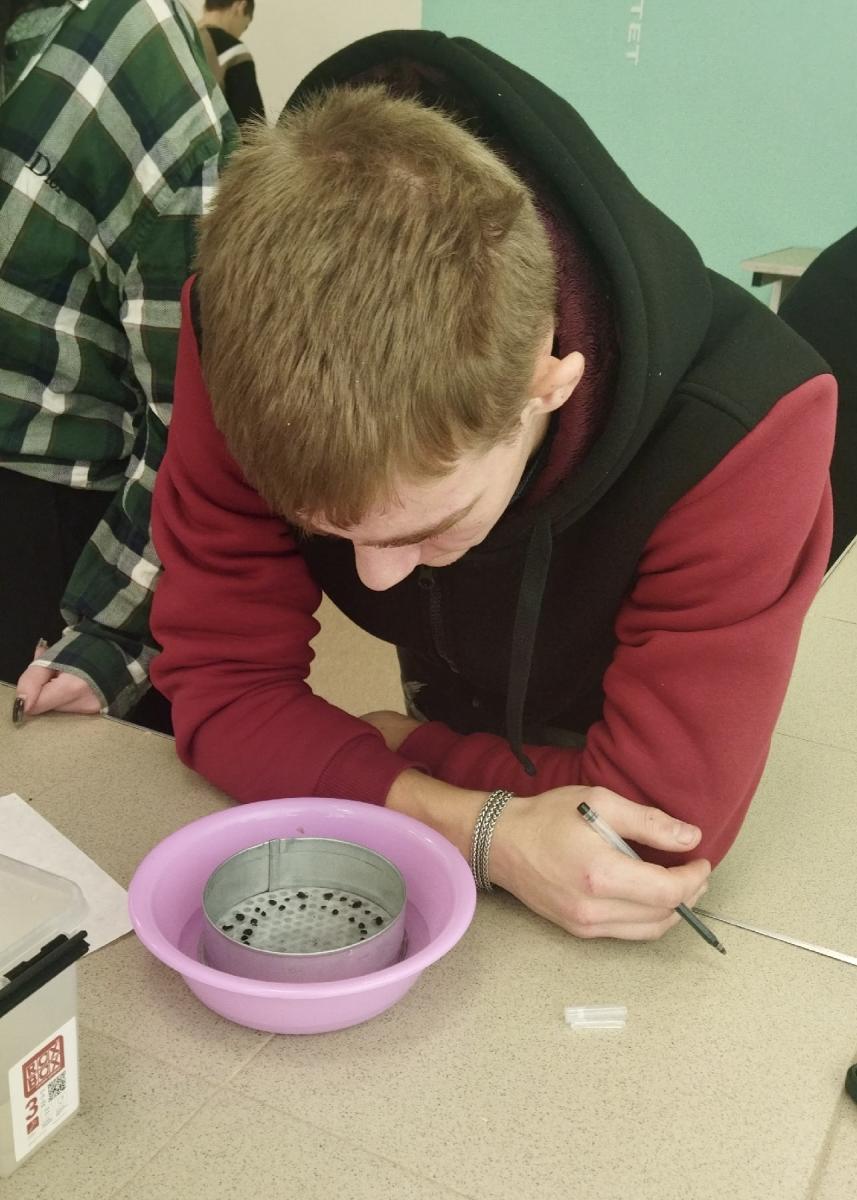 Практическое занятие: "Определение водопрочности структуры почвы" Фото 6