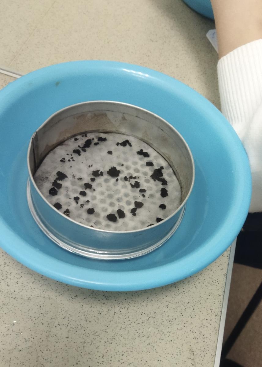 Практическое занятие: "Определение водопрочности структуры почвы" Фото 7