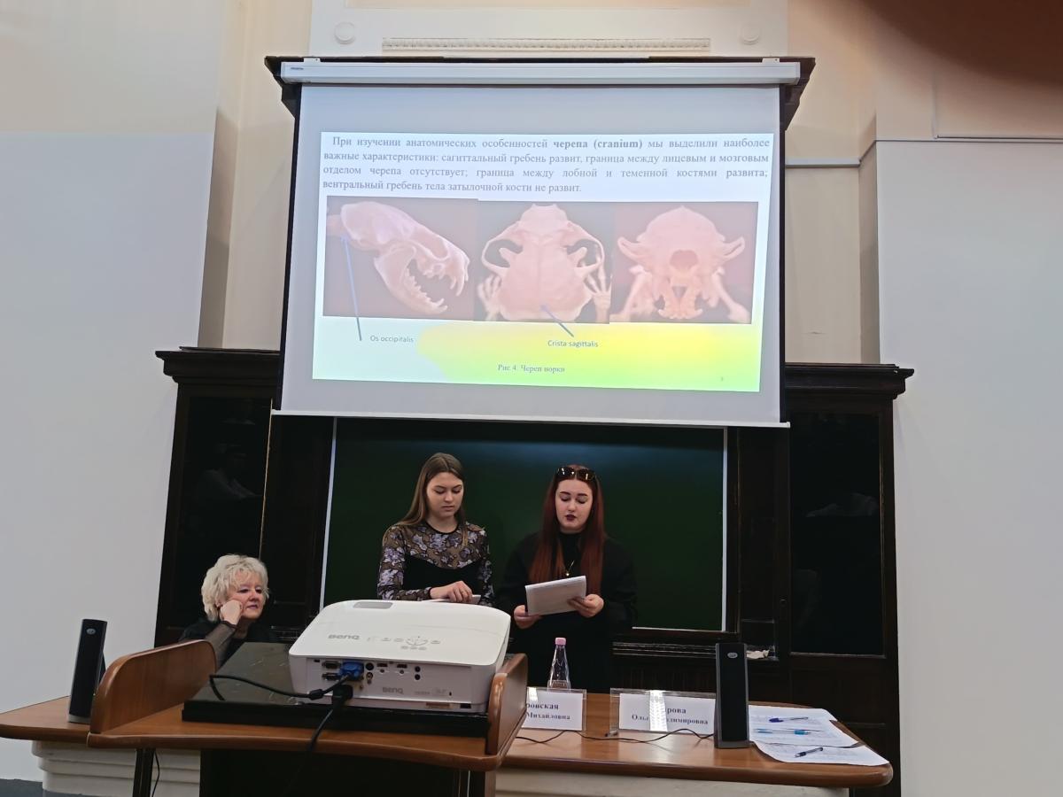 Участие студентов в VII Международной научно-практической конференции в СГМУ Фото 1 Участие студентов в VII Международной научно-практической конференции в СГМУ Фото 1