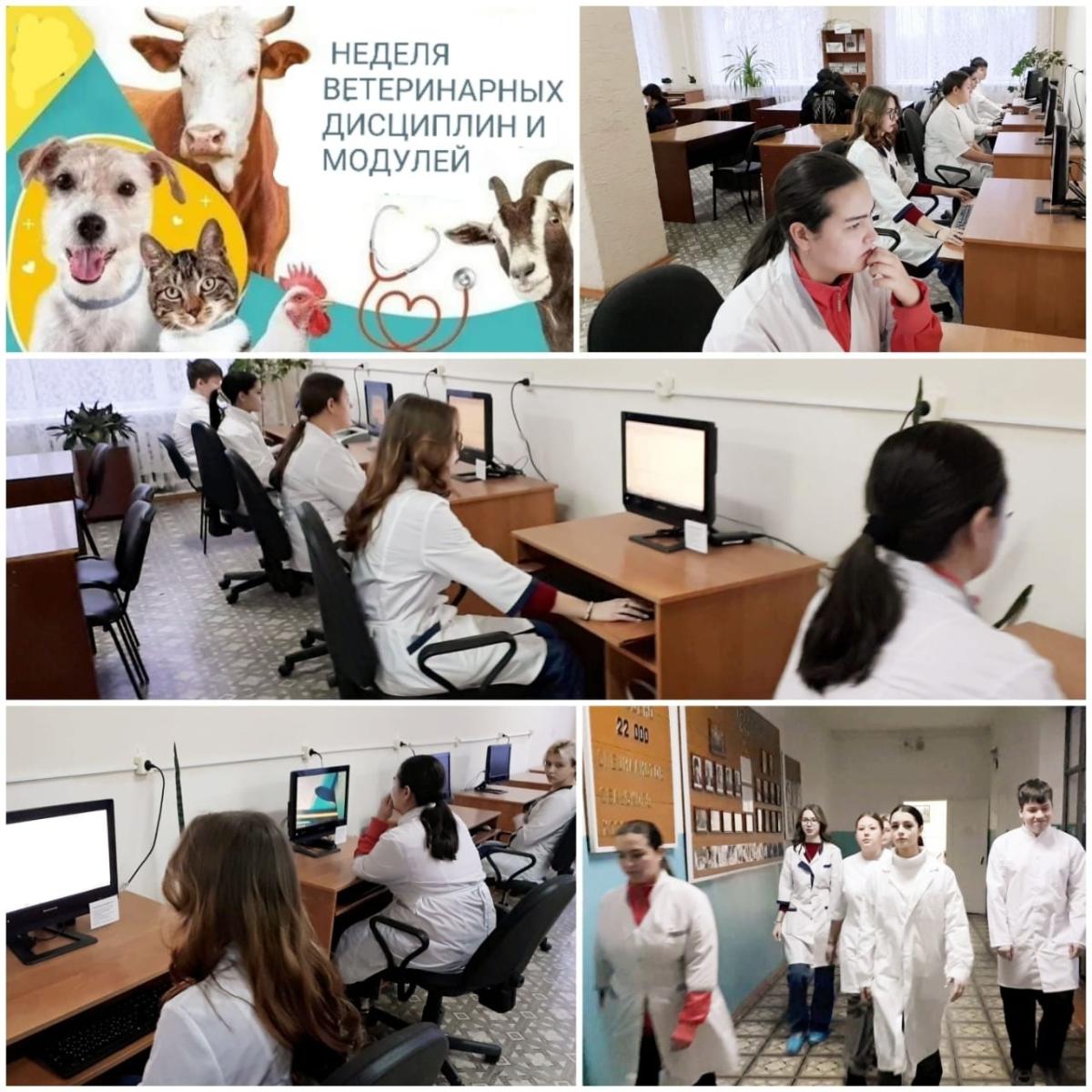 НОВОСТИ НЕДЕЛИ ВЕТЕРИНАРНЫХ ДИСЦИПЛИН И МОДУЛЕЙ Фото 1