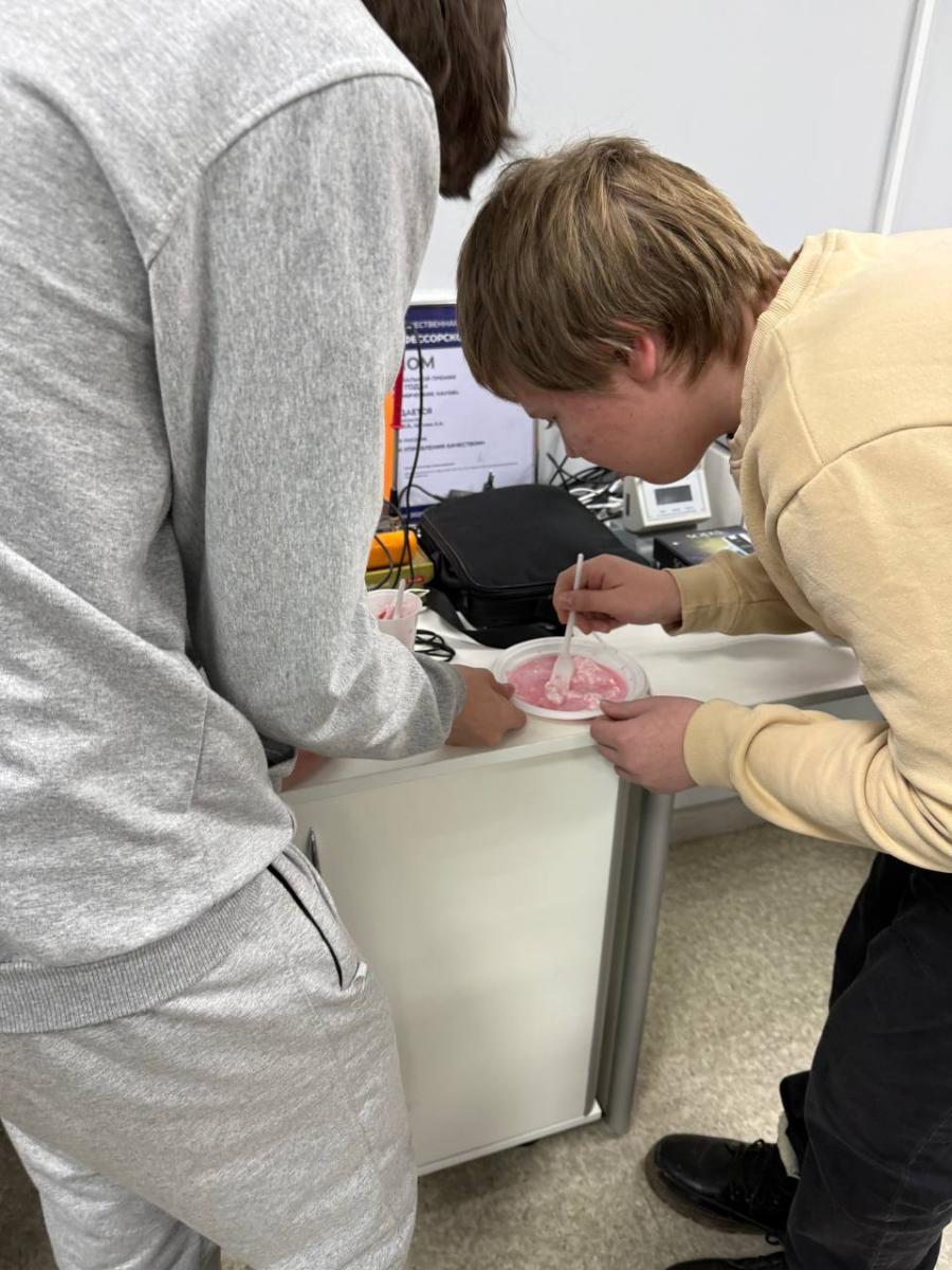 Мастер-класс «Оценка качества продуктов питания, секреты безопасной еды» для школьников Фото 2