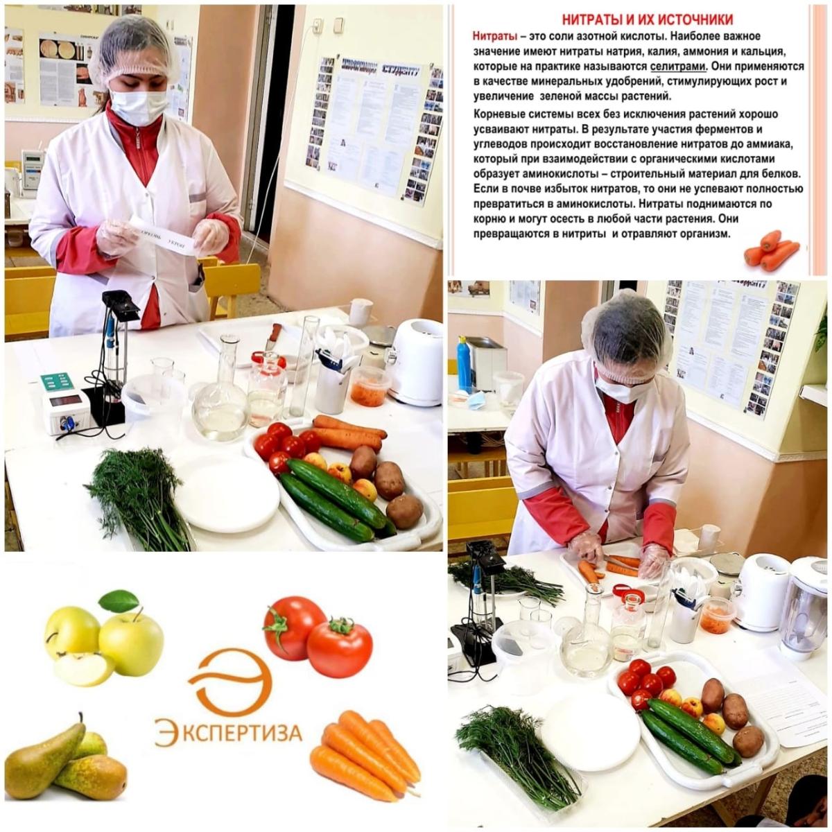 Начало практического этапа профессионального  конкурса в Неделю Ветеринарии Фото 1