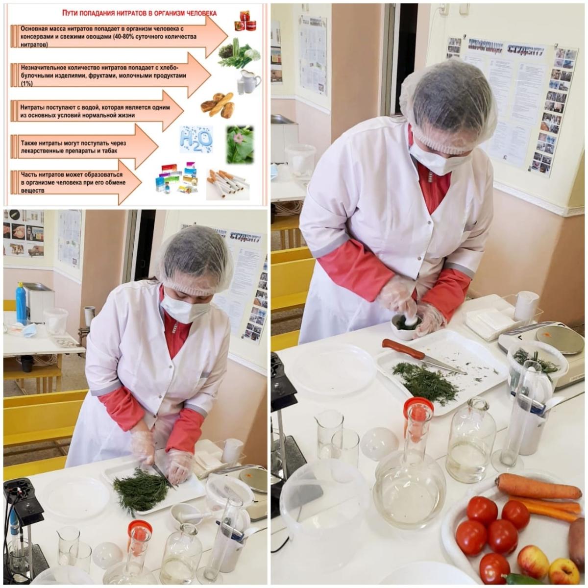 Начало практического этапа профессионального  конкурса в Неделю Ветеринарии Фото 2