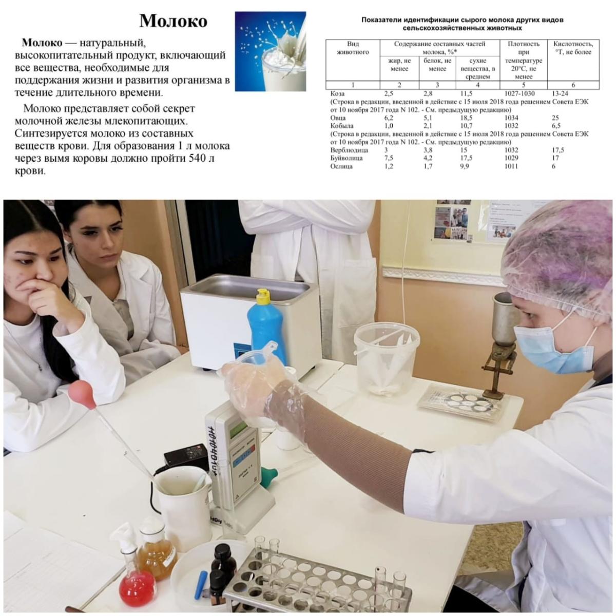 Новости недели Ветеринарных  дисциплин и модулей   с площадки  практического  этапа профессионального  конкурса. Фото 1