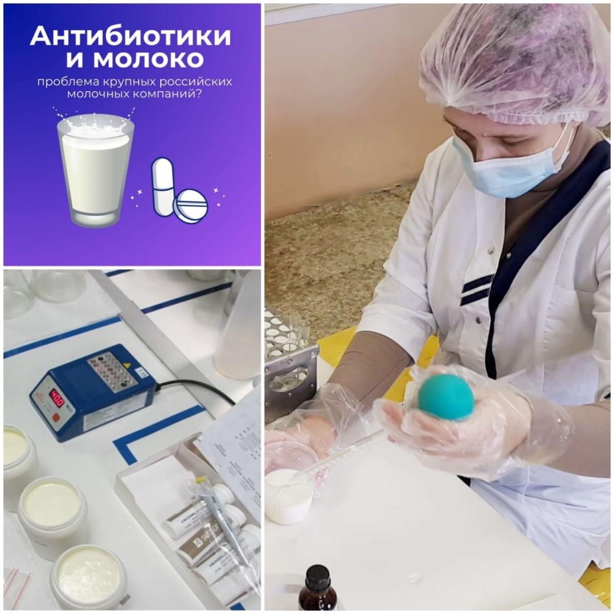 Новости недели Ветеринарных  дисциплин и модулей   с площадки  практического  этапа профессионального  конкурса. Фото 2