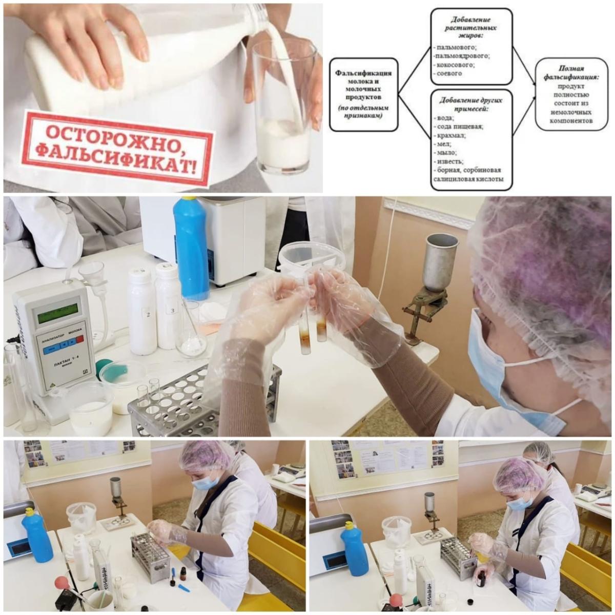 Новости недели Ветеринарных  дисциплин и модулей   с площадки  практического  этапа профессионального  конкурса. Фото 3