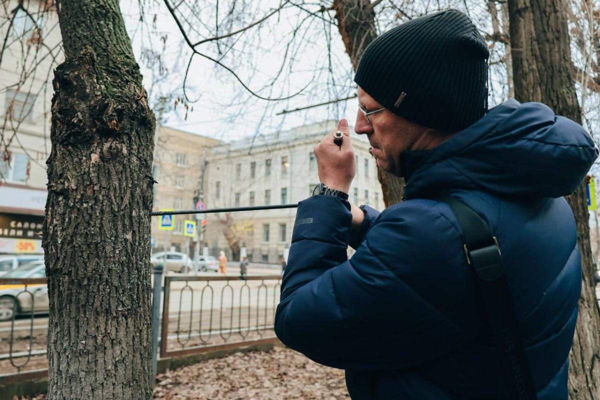 Состоялось выездное обследование поврежденных деревьев на ул. Астраханская Фото 3 Состоялось выездное обследование поврежденных деревьев на ул. Астраханская Фото 3