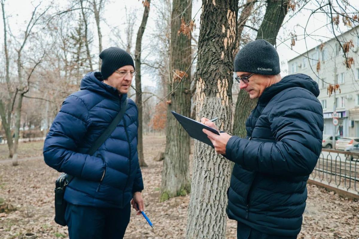 Состоялось выездное обследование поврежденных деревьев на ул. Астраханская Фото 5 Состоялось выездное обследование поврежденных деревьев на ул. Астраханская Фото 5