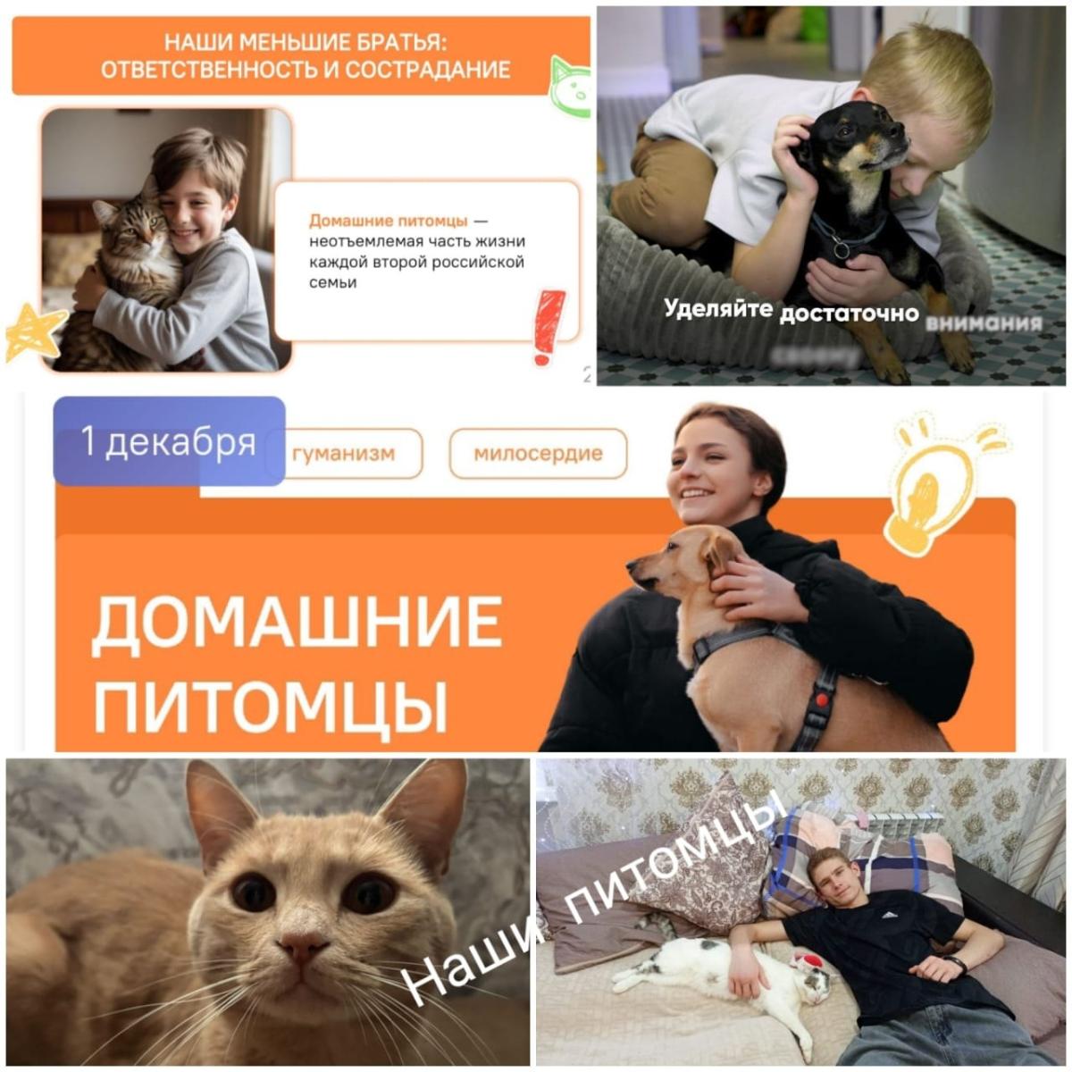 Торжественная линейка. Разговоры о важном. Фото 3