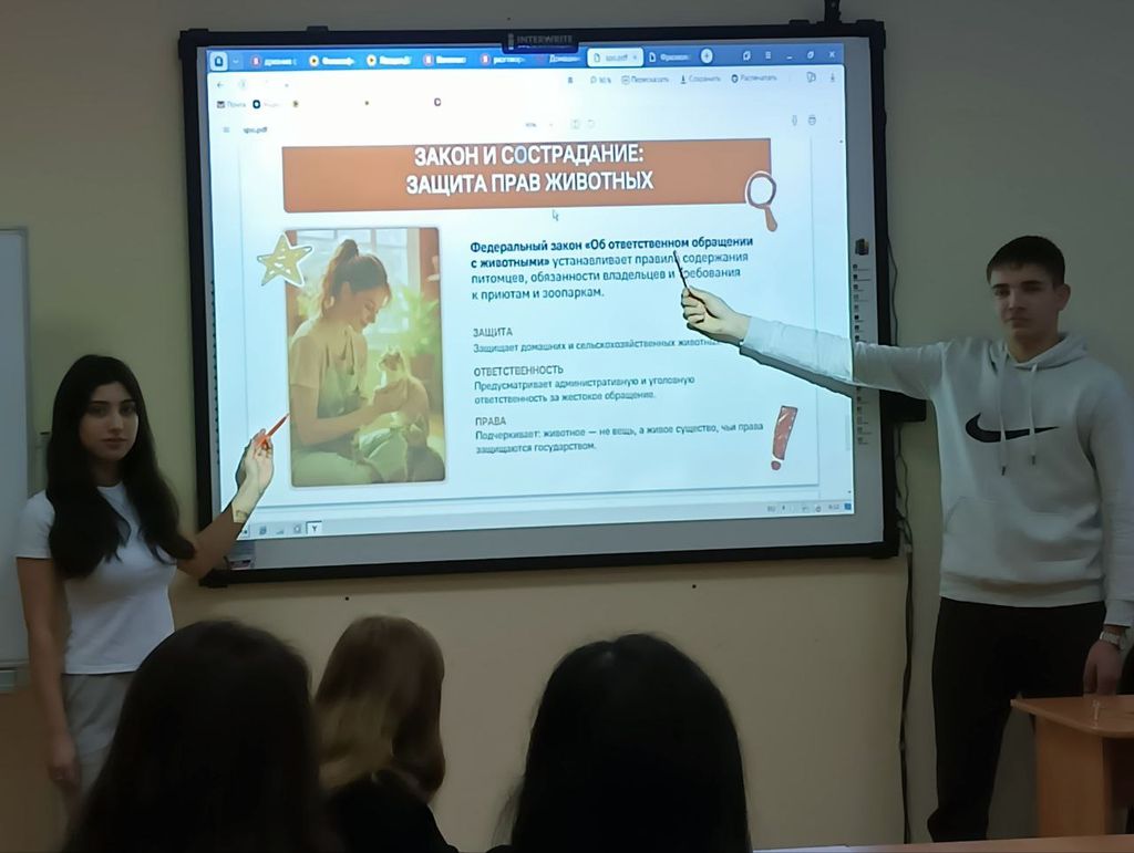 Эвристическая беседа «Домашние питомцы» Фото 1