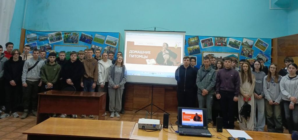 Эвристическая беседа «Домашние питомцы» Фото 4