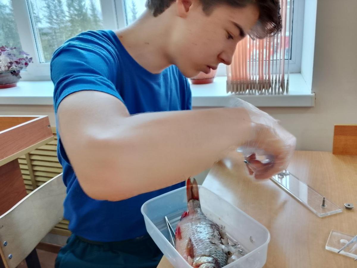 Мастер-класс "Ветеринария на столе у домохозяйки" Фото 1