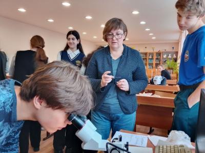 Мастер-класс "Ветеринария на столе у домохозяйки"