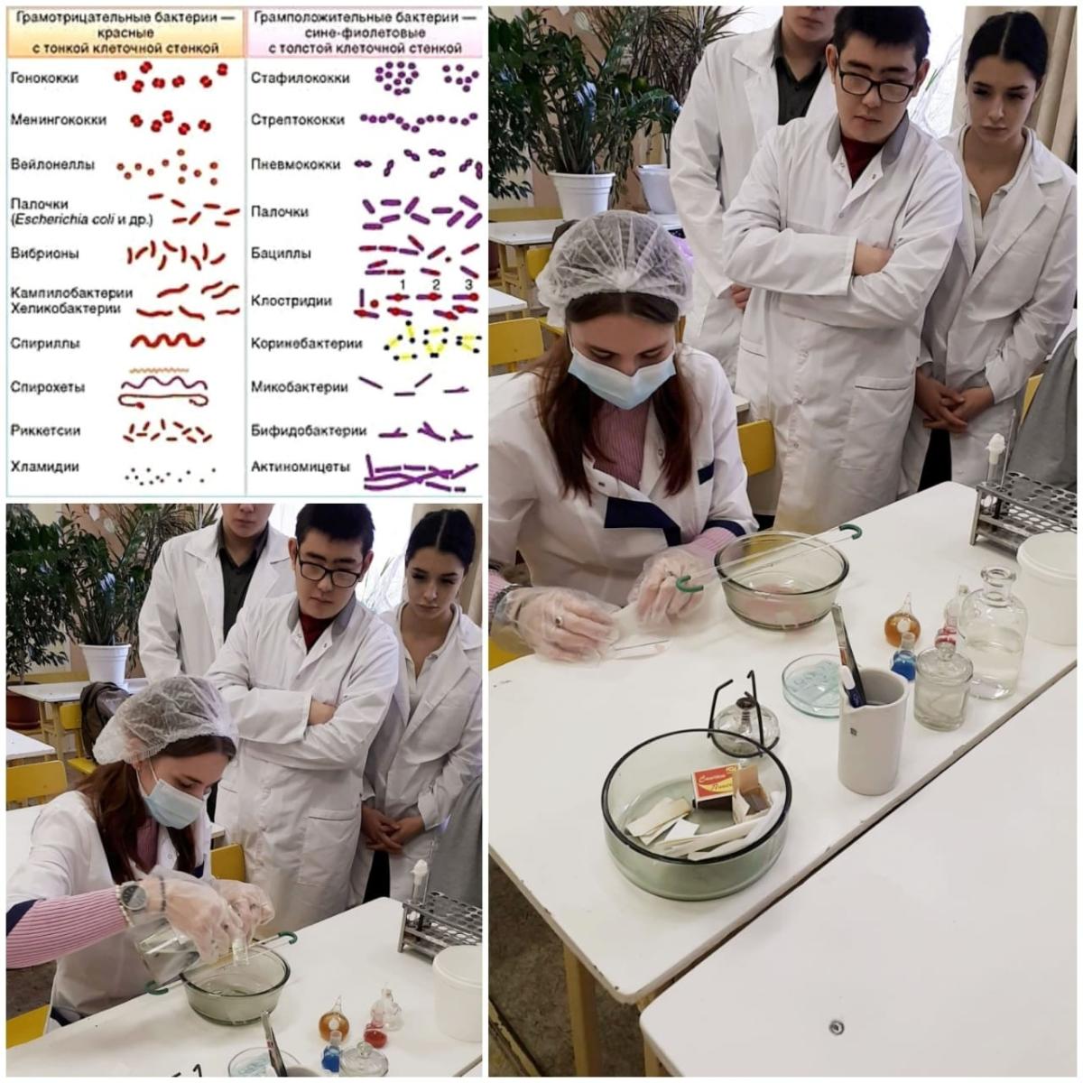 Неделя ветеринарных дисциплин. Фото 1