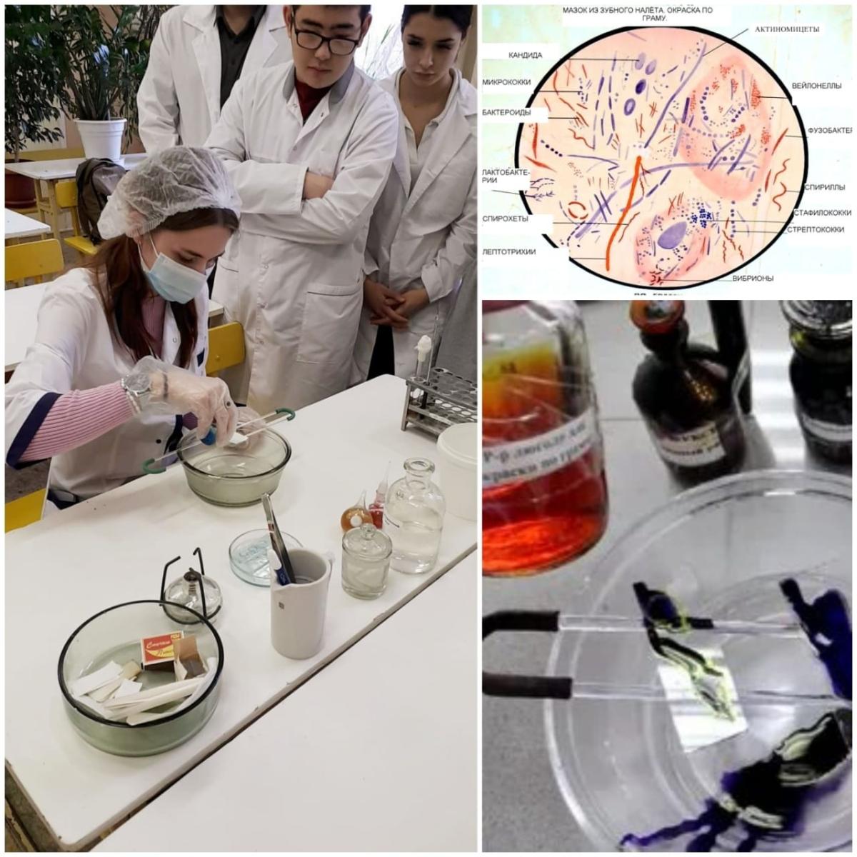 Неделя ветеринарных дисциплин. Фото 2