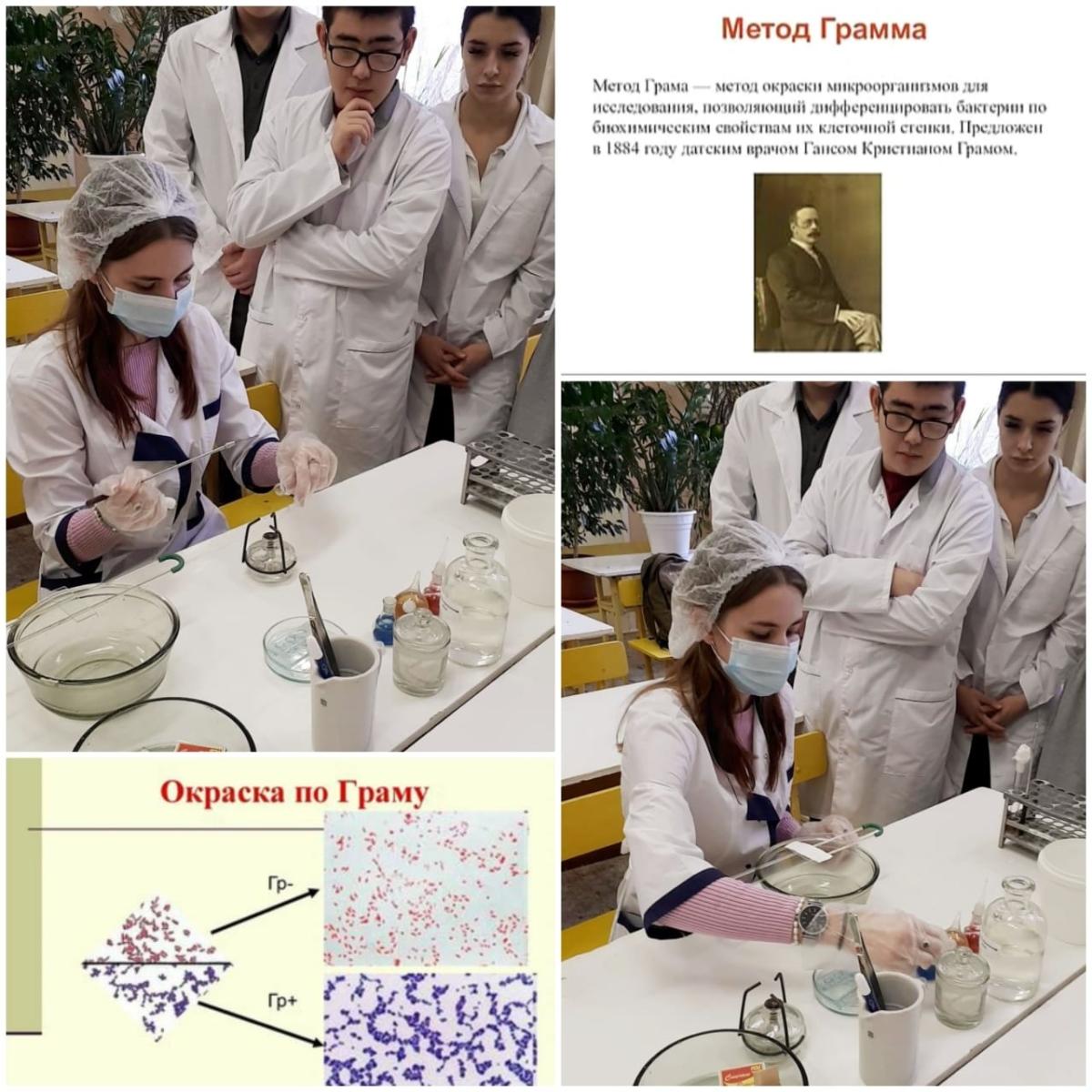 Неделя ветеринарных дисциплин.