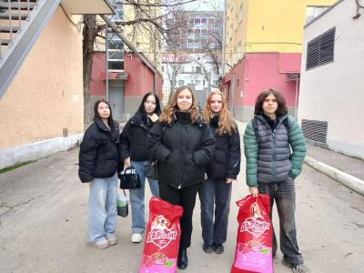 Помощь бездомным животным