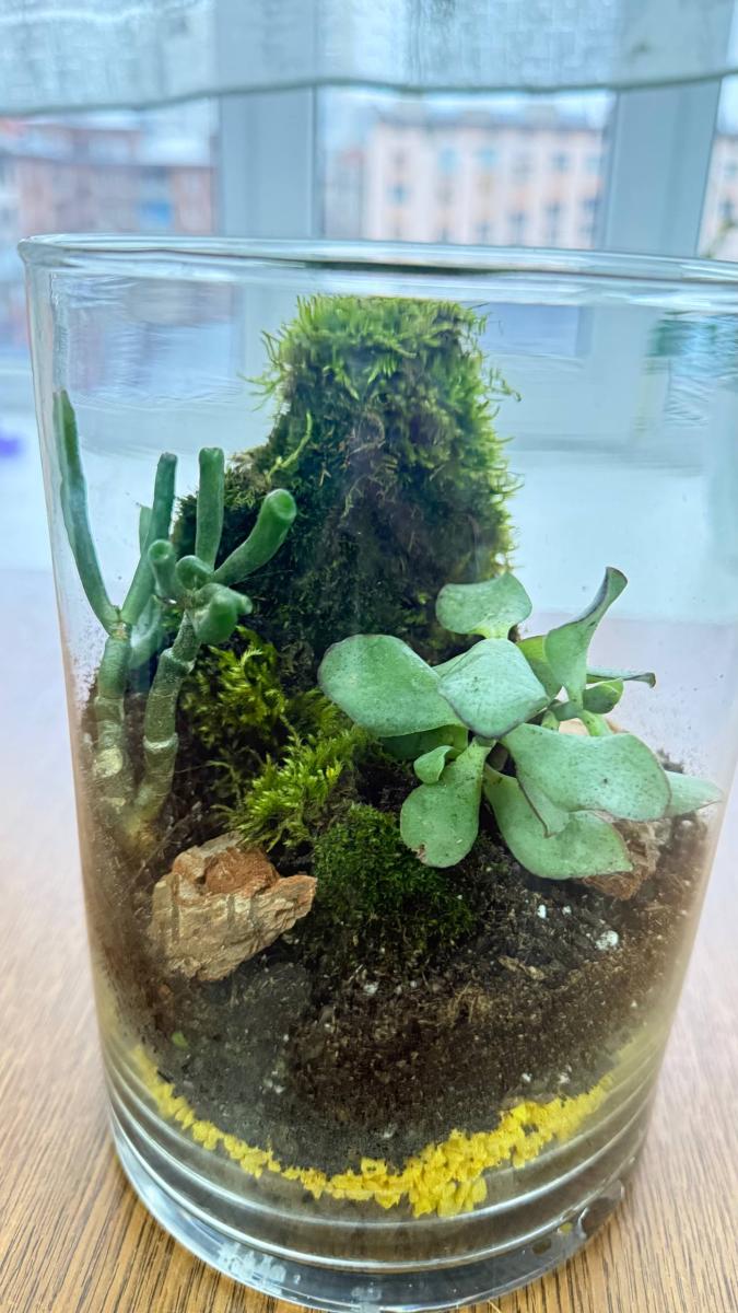 Творческая встреча преподавателей направления подготовки "Ландшафтная архитектура" Фото 1 Творческая встреча преподавателей направления подготовки "Ландшафтная архитектура" Фото 1