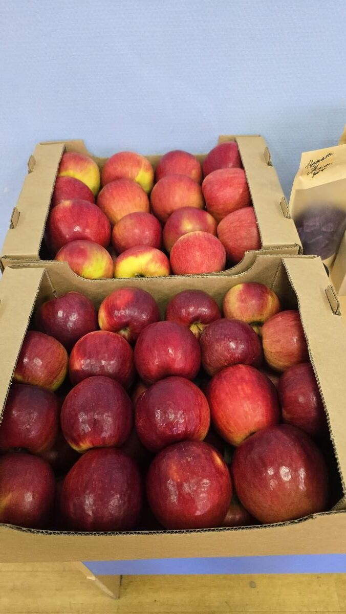 Состоялась XIV Международная научно-практическая конференция «Проблемы и перспективы развития сельского хозяйства и сельских территорий» Фото 13 Состоялась XIV Международная научно-практическая конференция «Проблемы и перспективы развития сельского хозяйства и сельских территорий» Фото 13