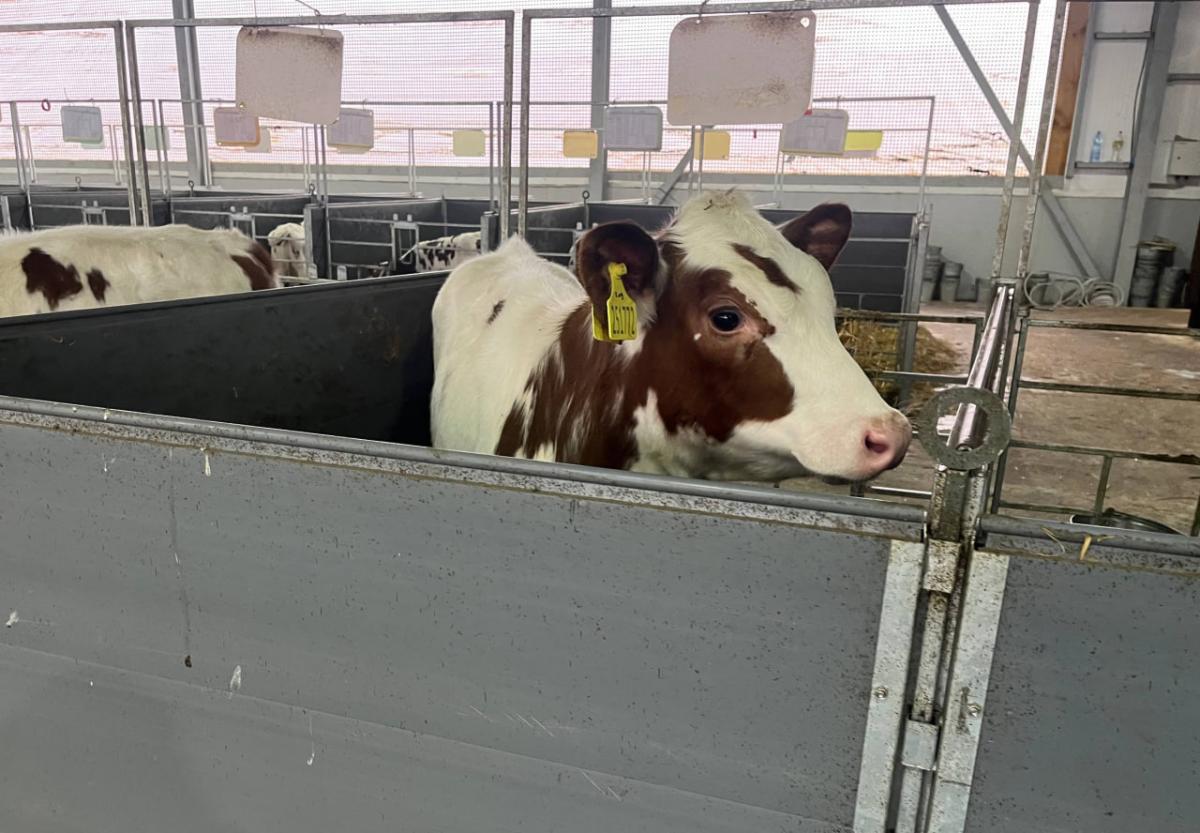 Практическое занятие в АО ПЗ «Мелиоратор» Фото 1