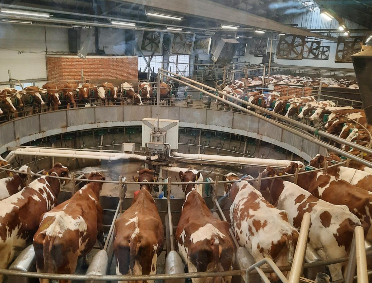 Практическое занятие в АО ПЗ «Мелиоратор» Фото 2