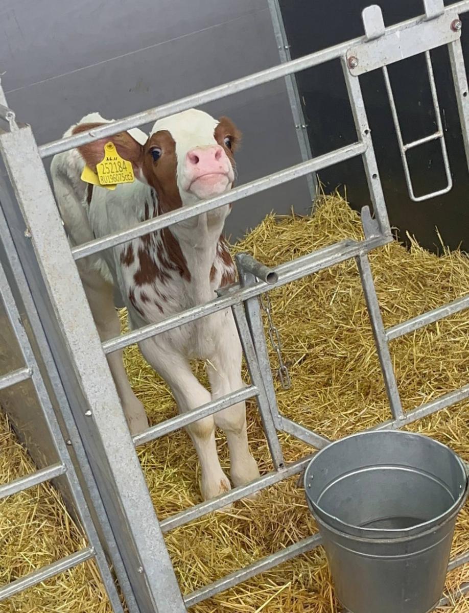 Практическое занятие в АО ПЗ «Мелиоратор» Фото 3