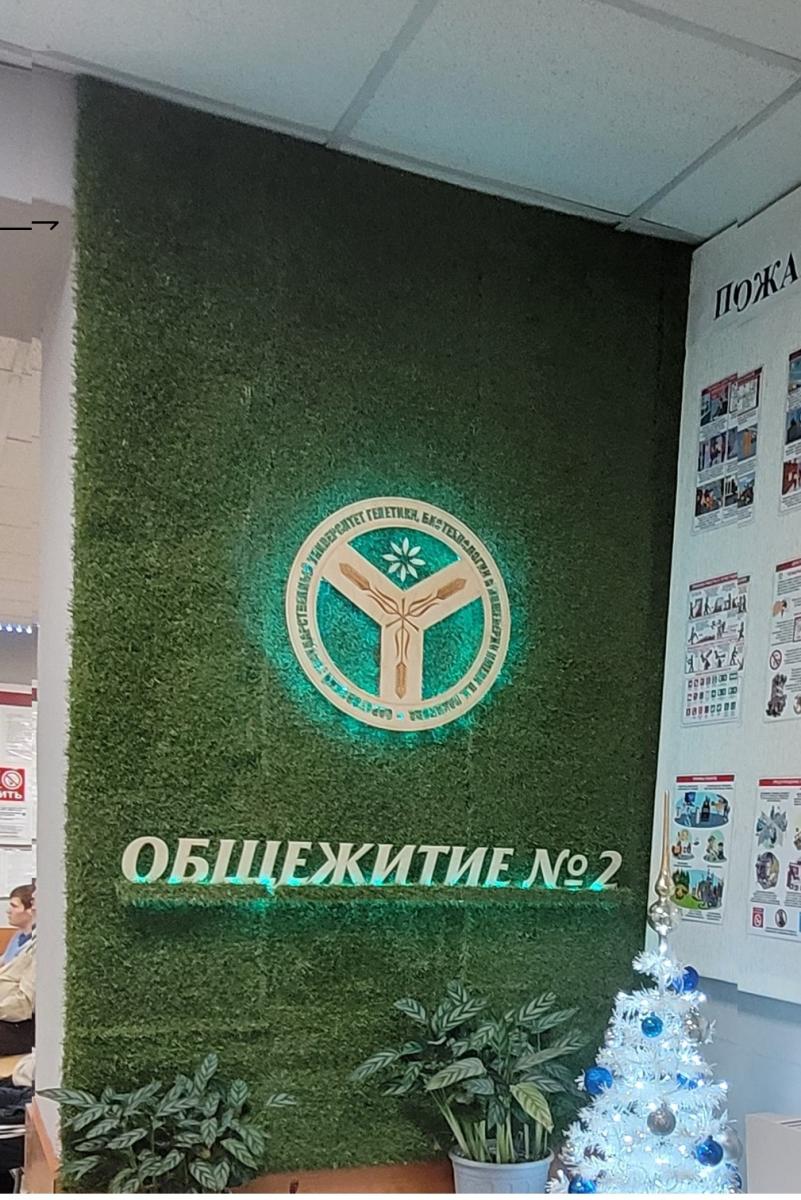 День кафедры «Техносферная безопасность и транспортно-технологические машины» в общежитии № 2. Фото 9 День кафедры «Техносферная безопасность и транспортно-технологические машины» в общежитии № 2. Фото 9