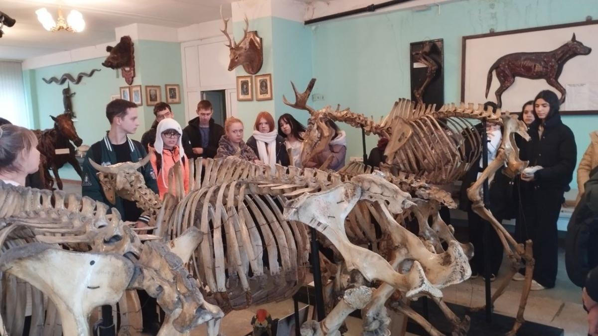 Ознакомительная экскурсия для обучающихся МОУ ООШ №17 г. Саратова Фото 1 Ознакомительная экскурсия для обучающихся МОУ ООШ №17 г. Саратова Фото 1