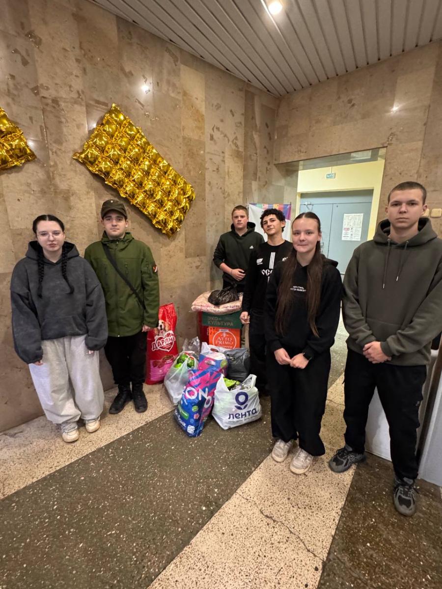 Благотворительная акция для помощи бездомным животным Фото 4 Благотворительная акция для помощи бездомным животным Фото 4