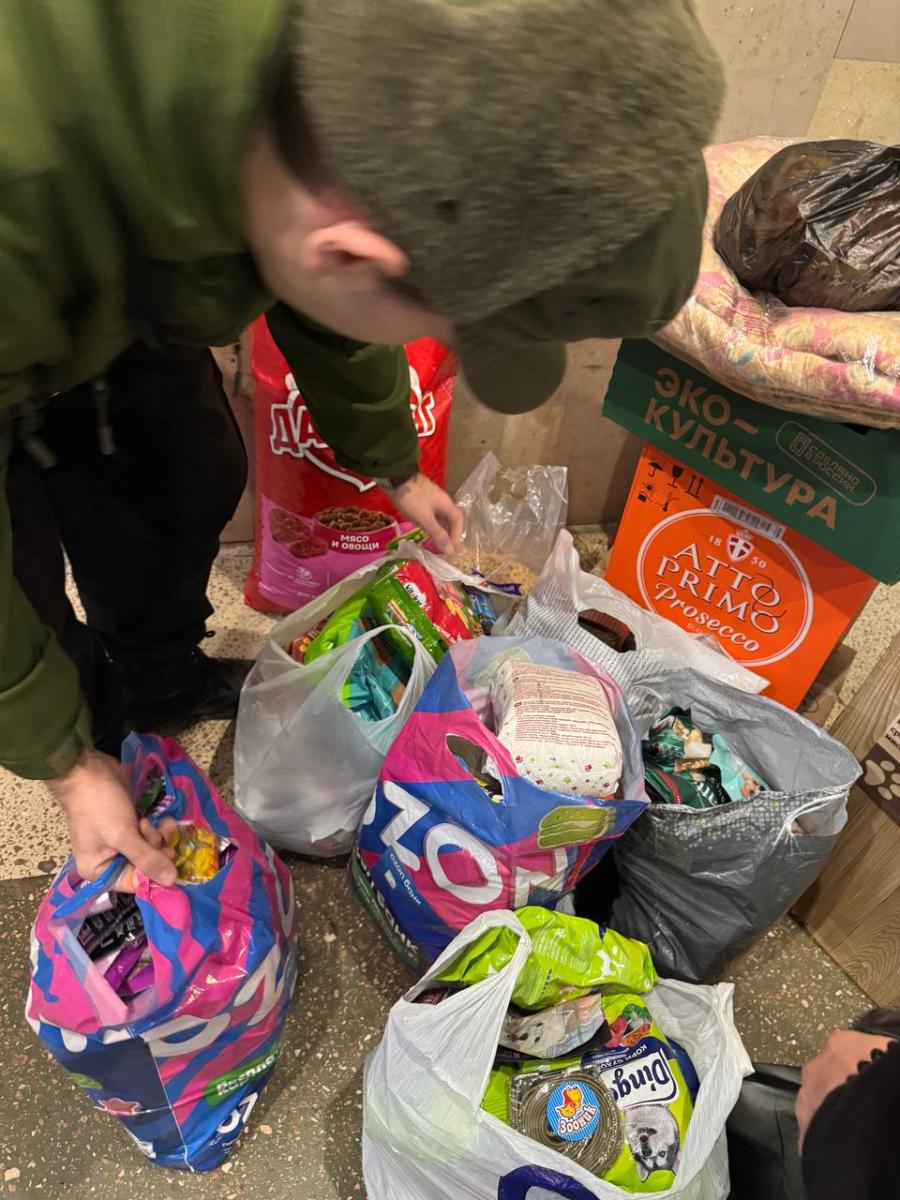 Благотворительная акция для помощи бездомным животным Фото 5 Благотворительная акция для помощи бездомным животным Фото 5