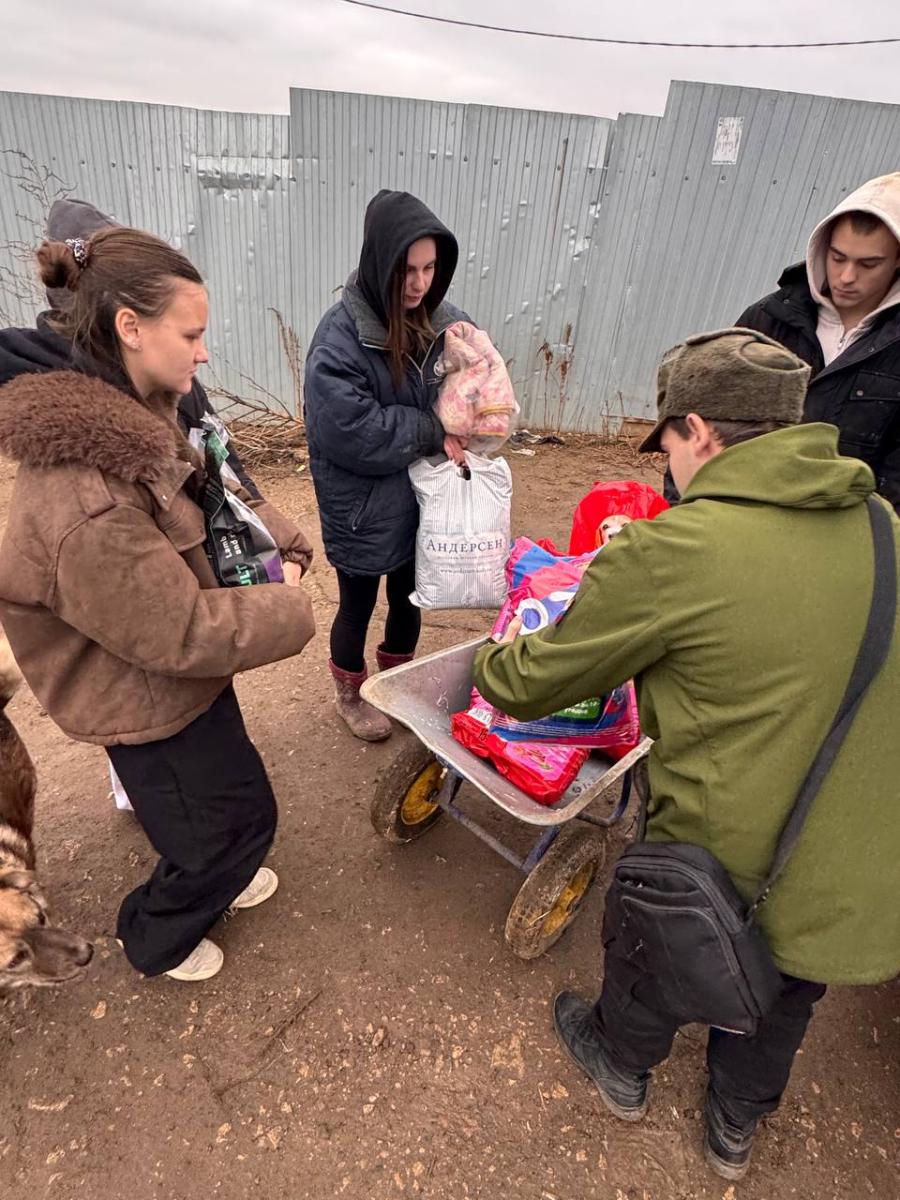 Благотворительная акция для помощи бездомным животным Фото 6 Благотворительная акция для помощи бездомным животным Фото 6