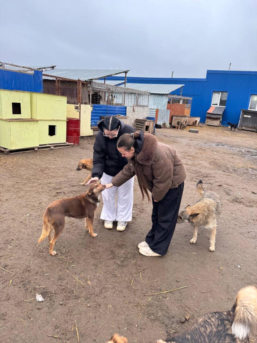 Благотворительная акция для помощи бездомным животным Фото 7 Благотворительная акция для помощи бездомным животным Фото 7