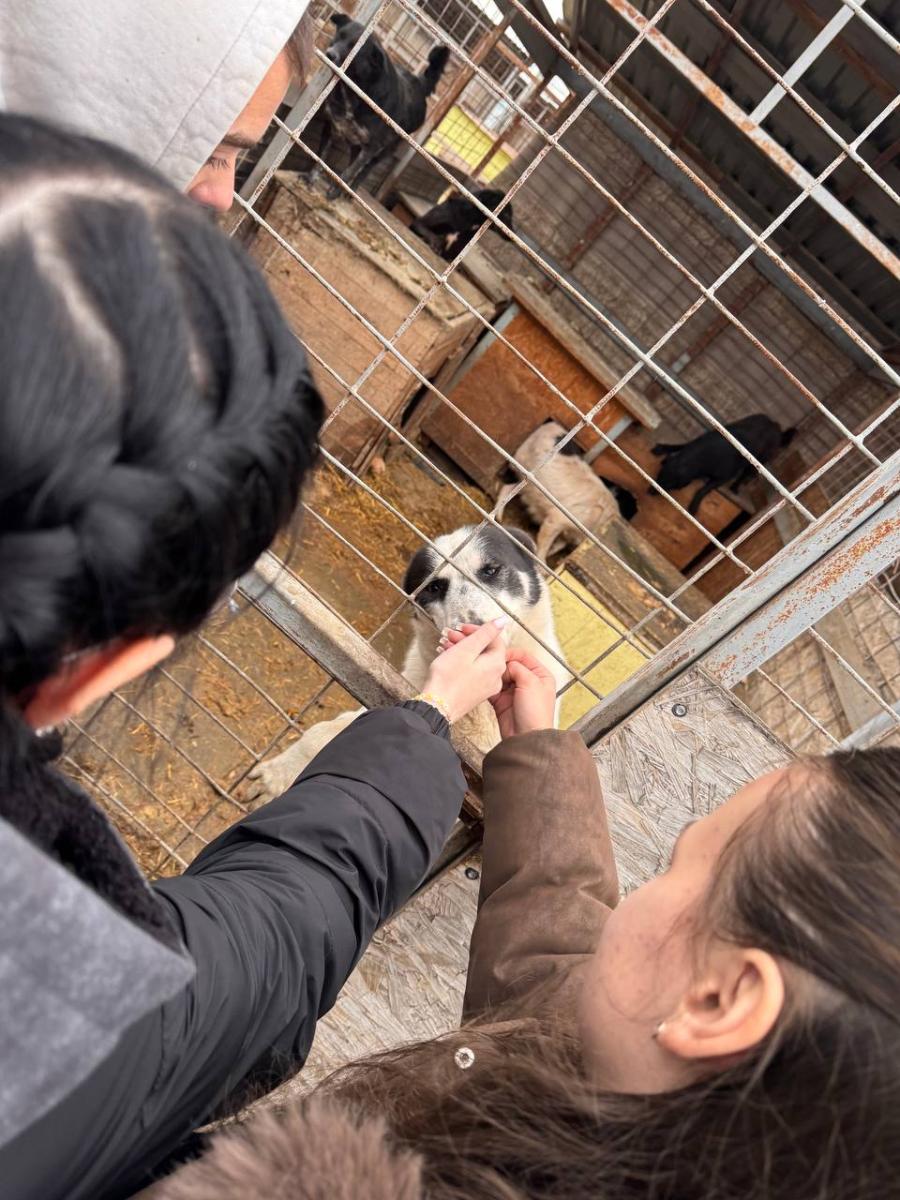 Благотворительная акция для помощи бездомным животным Фото 8 Благотворительная акция для помощи бездомным животным Фото 8