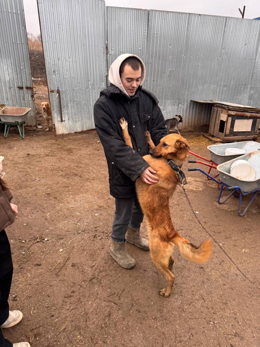 Благотворительная акция для помощи бездомным животным Фото 9 Благотворительная акция для помощи бездомным животным Фото 9