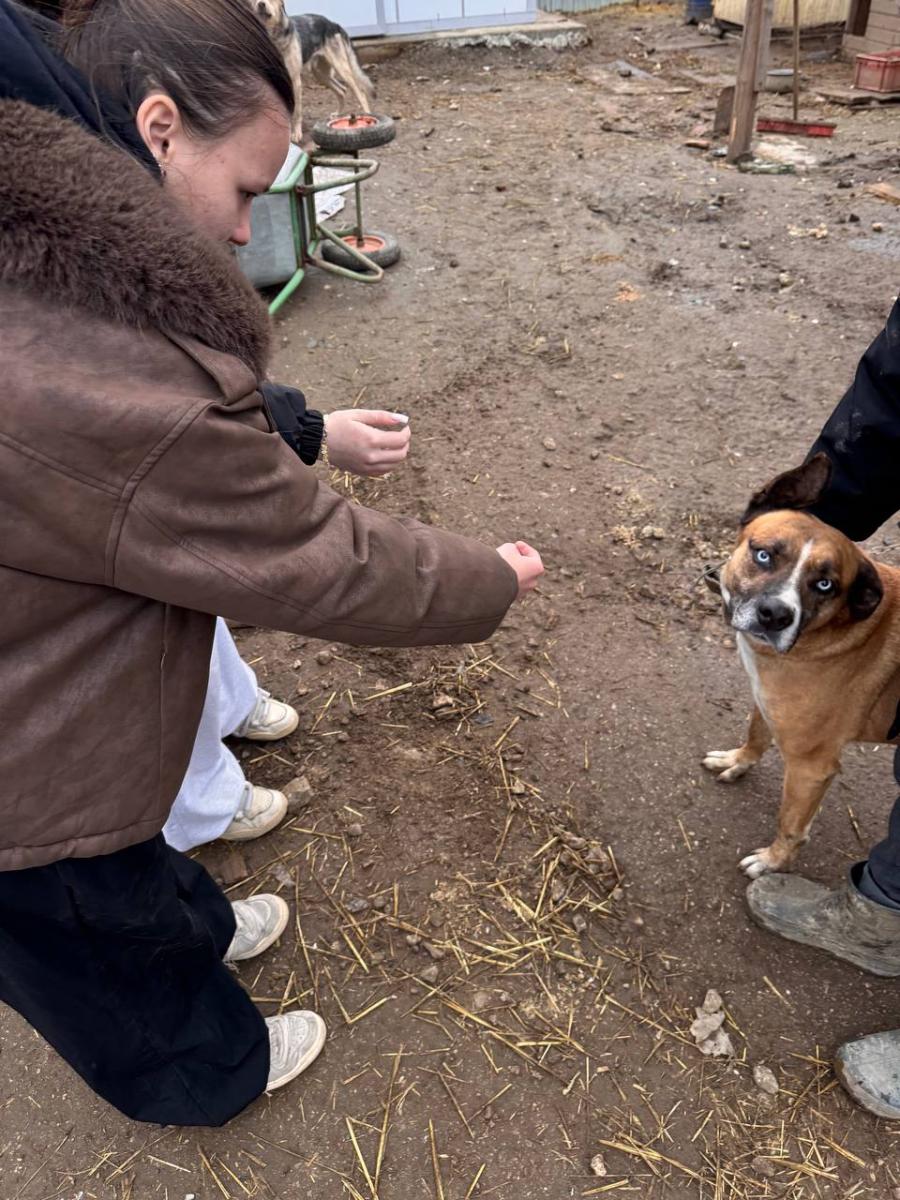 Благотворительная акция для помощи бездомным животным Фото 10 Благотворительная акция для помощи бездомным животным Фото 10