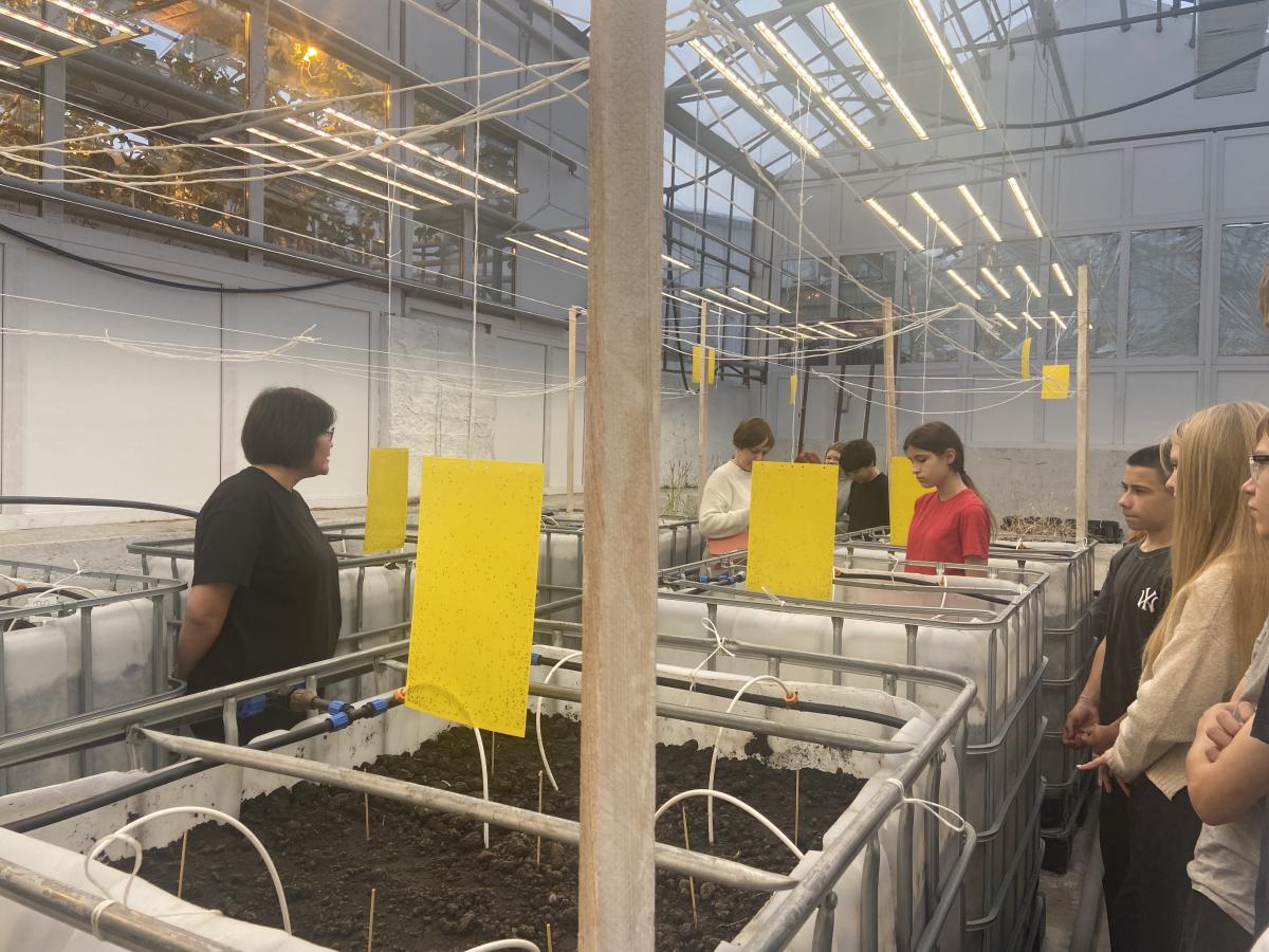 Профориентационная работа в фитотронно-тепличном интеллектуальном комплексе Фото 2 Профориентационная работа в фитотронно-тепличном интеллектуальном комплексе Фото 2