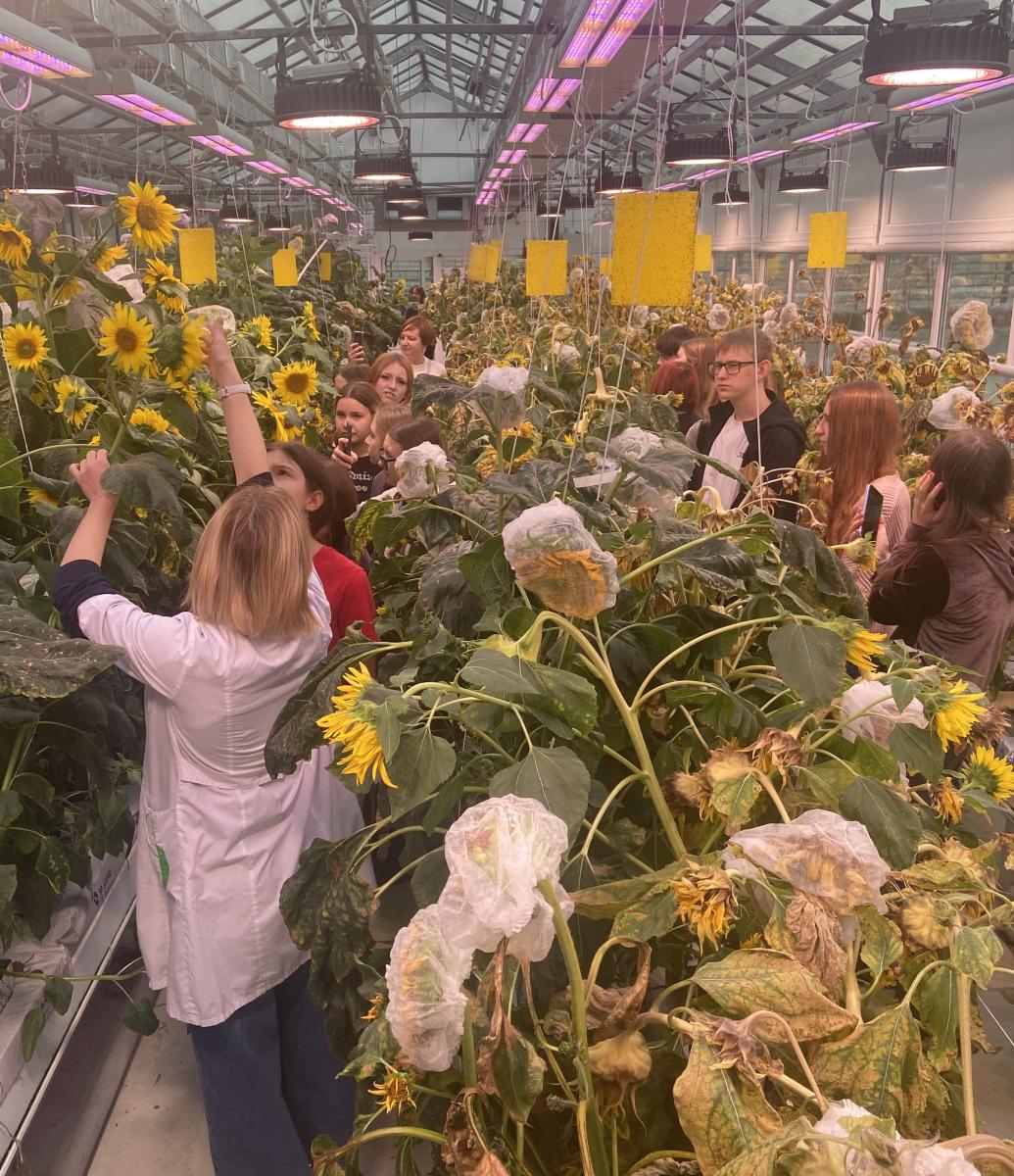 Профориентационная работа в фитотронно-тепличном интеллектуальном комплексе Фото 5 Профориентационная работа в фитотронно-тепличном интеллектуальном комплексе Фото 5