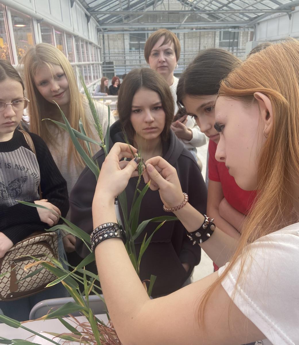 Профориентационная работа в фитотронно-тепличном интеллектуальном комплексе Фото 8 Профориентационная работа в фитотронно-тепличном интеллектуальном комплексе Фото 8