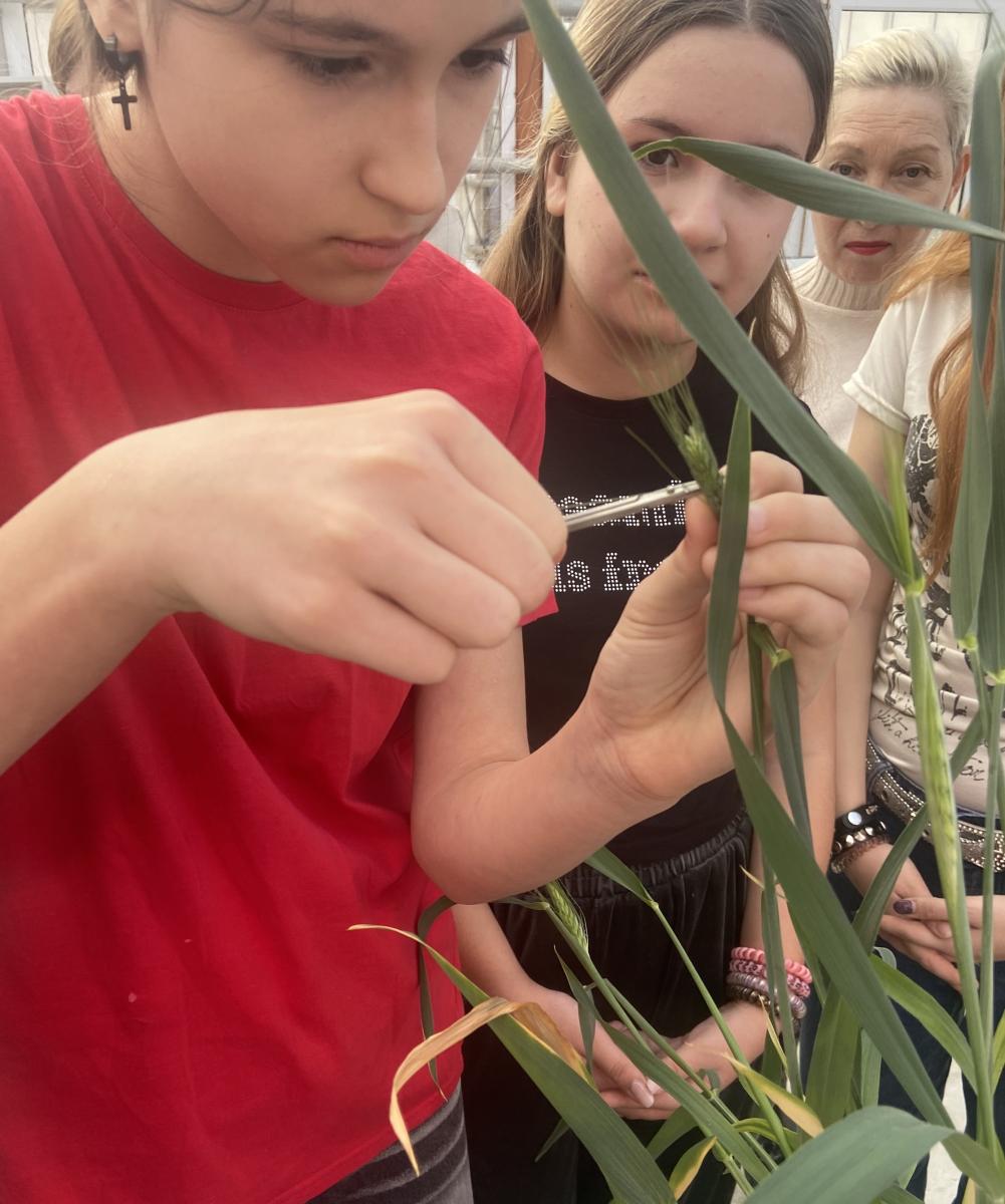 Профориентационная работа в фитотронно-тепличном интеллектуальном комплексе Фото 9 Профориентационная работа в фитотронно-тепличном интеллектуальном комплексе Фото 9