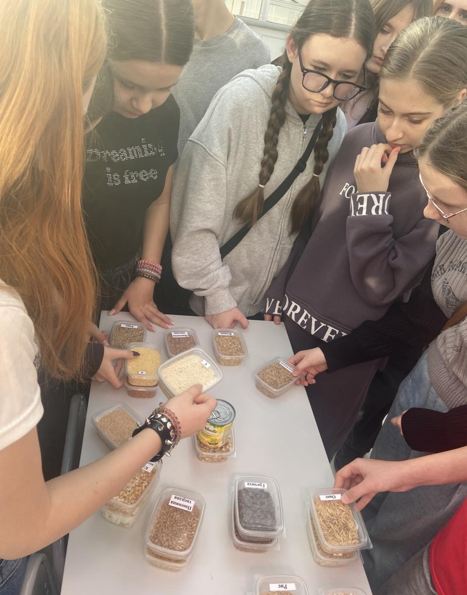 Профориентационная работа в фитотронно-тепличном интеллектуальном комплексе Фото 11 Профориентационная работа в фитотронно-тепличном интеллектуальном комплексе Фото 11