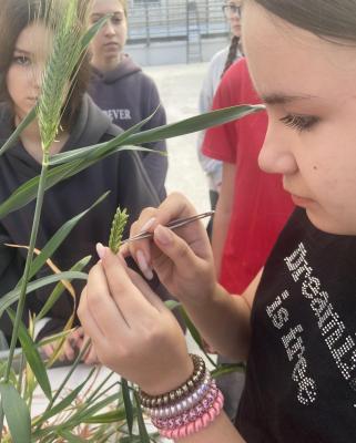 Профориентационная работа в фитотронно-тепличном интеллектуальном комплексе