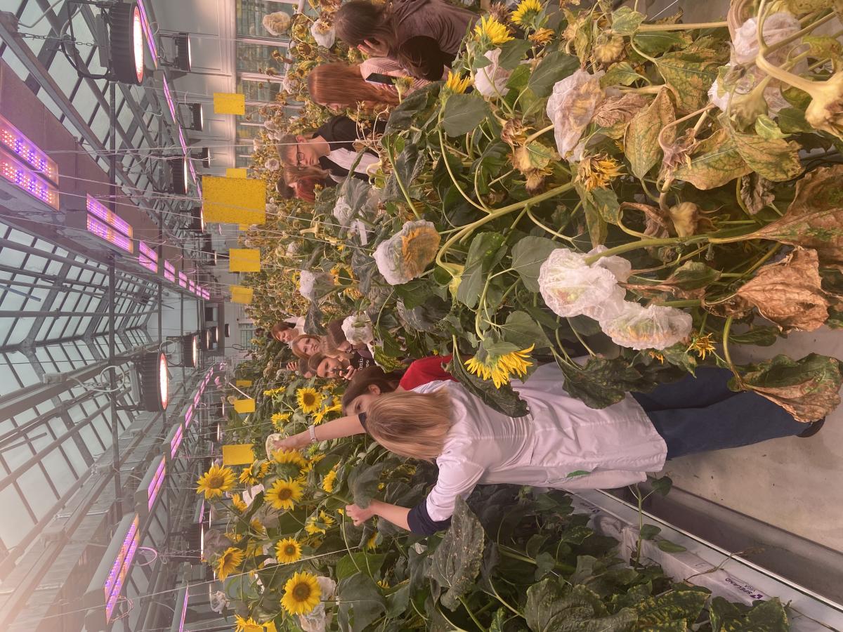 Профориентационная работа в фитотронно-тепличном интеллектуальном комплексе Фото 3