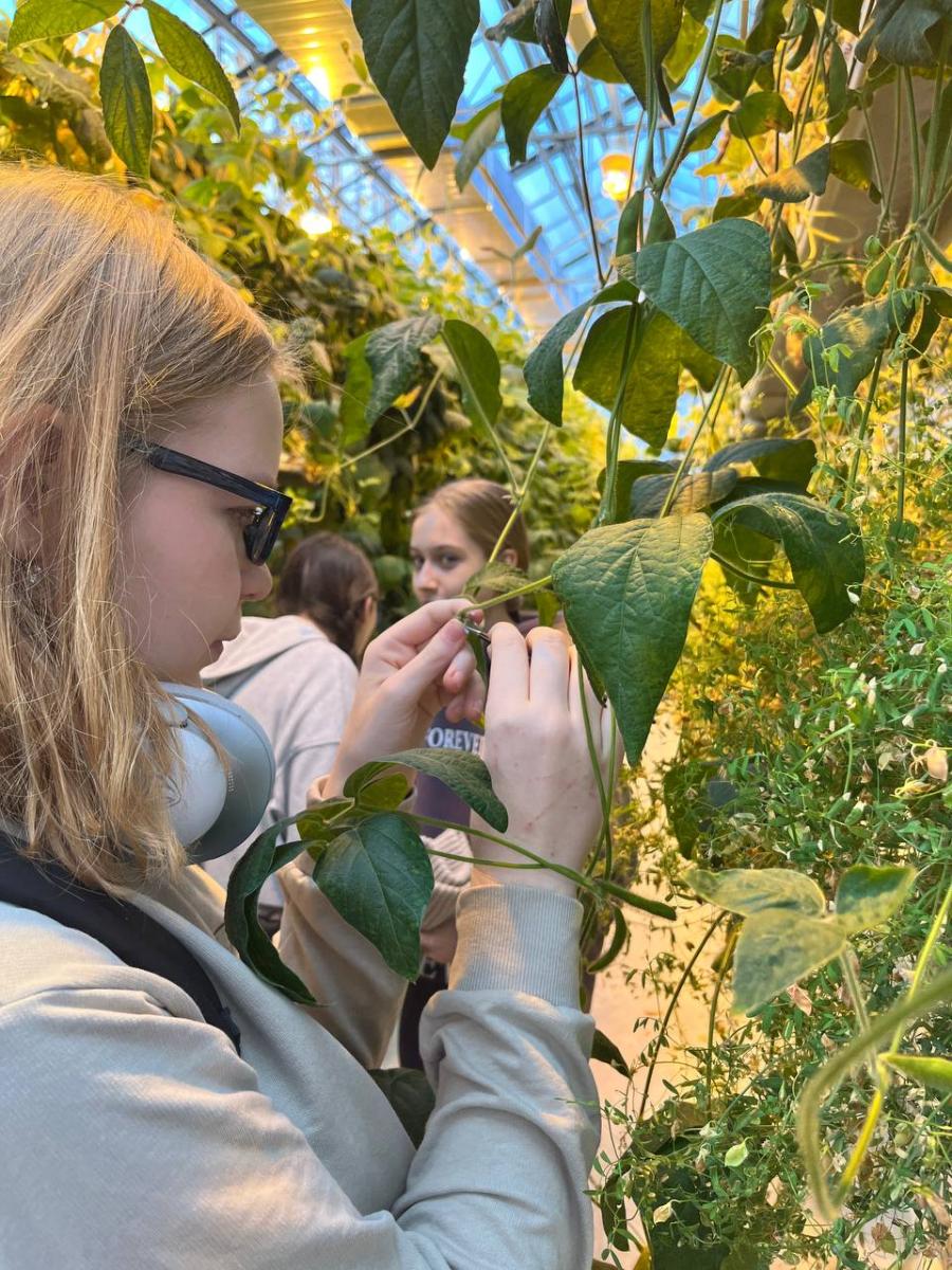 Профориентационная работа в фитотронно-тепличном интеллектуальном комплексе Фото 9