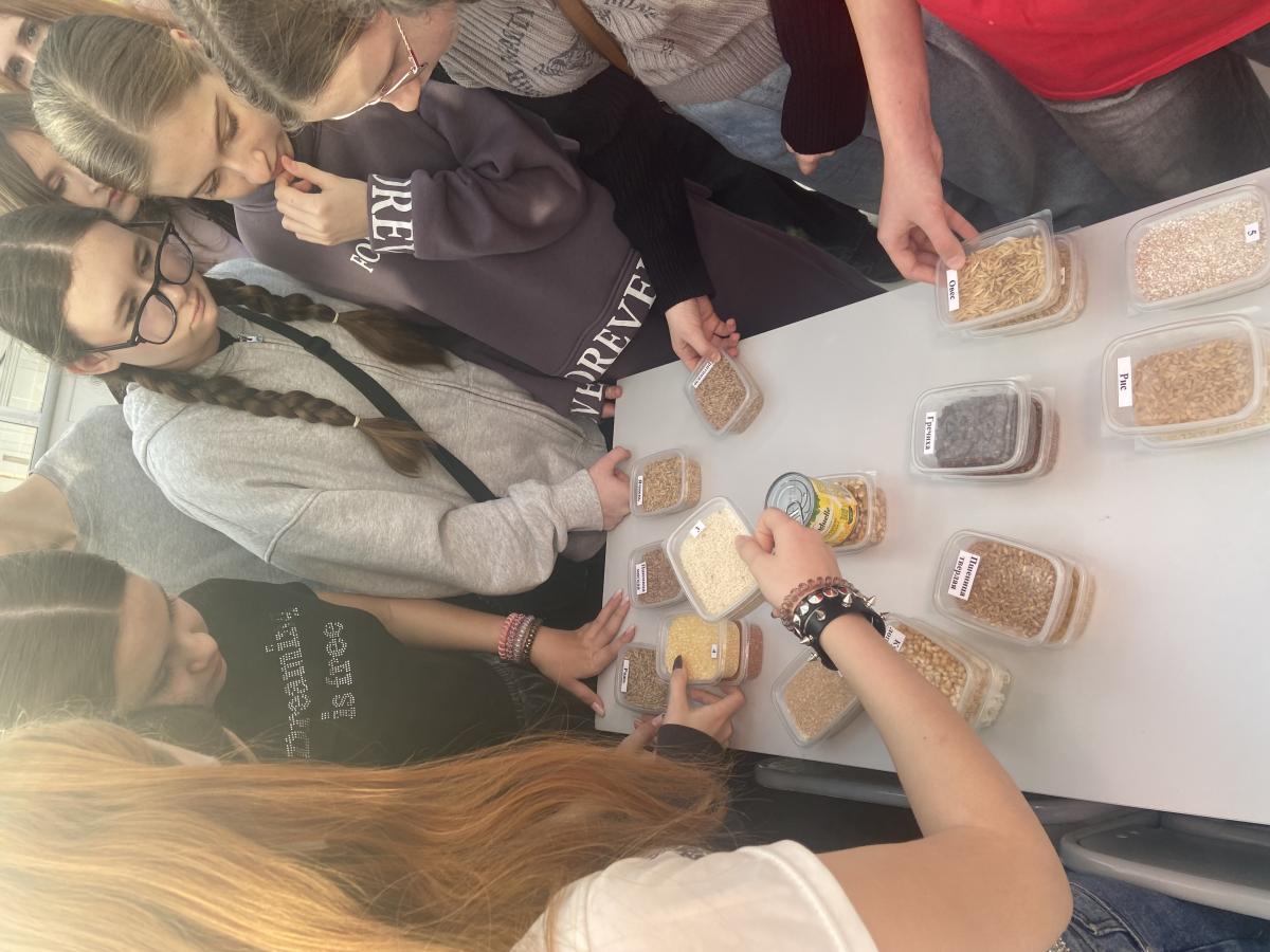 Профориентационная работа в фитотронно-тепличном интеллектуальном комплексе Фото 11