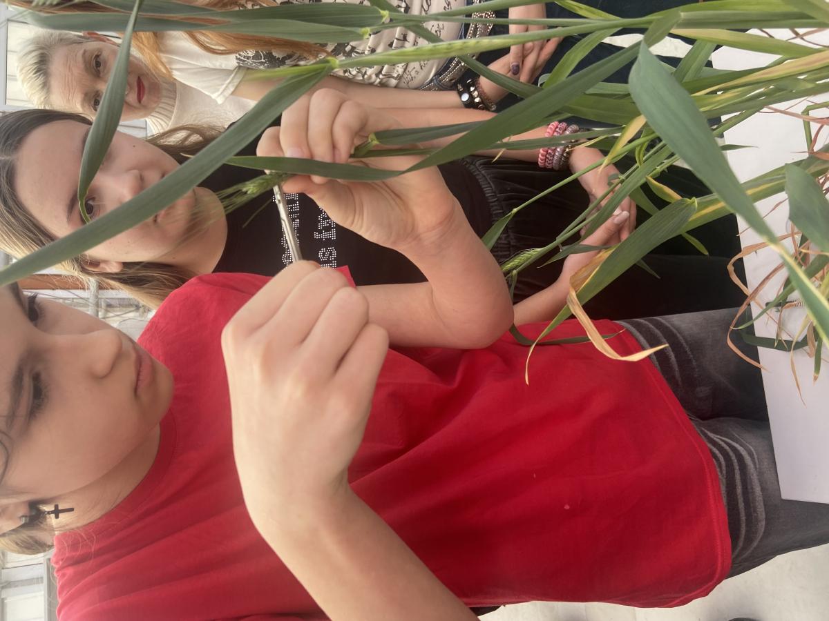 Профориентационная работа в фитотронно-тепличном интеллектуальном комплексе Фото 7